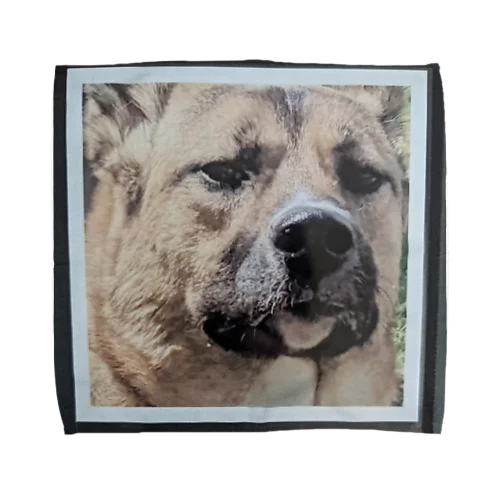 hinataokami Towel Handkerchief