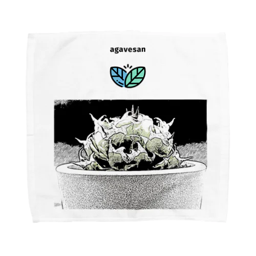 agavesan ハンカチ Towel Handkerchief