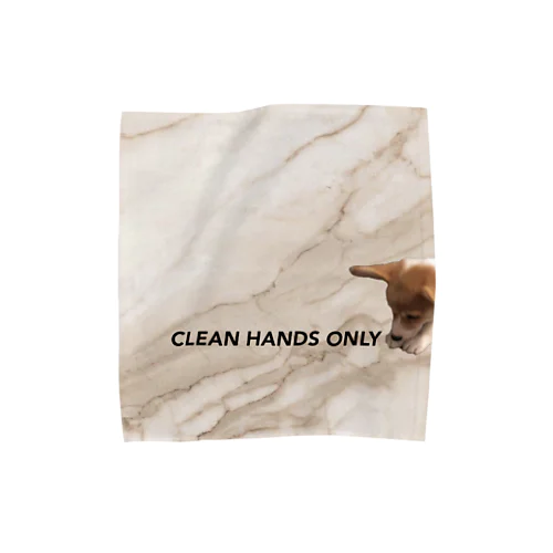 Clean hands only  Towel Handkerchief