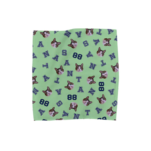 まいにちサン太88ミント Towel Handkerchief