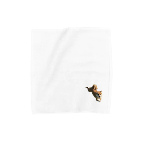 ジャンピング豆柴にこちゃん Towel Handkerchief