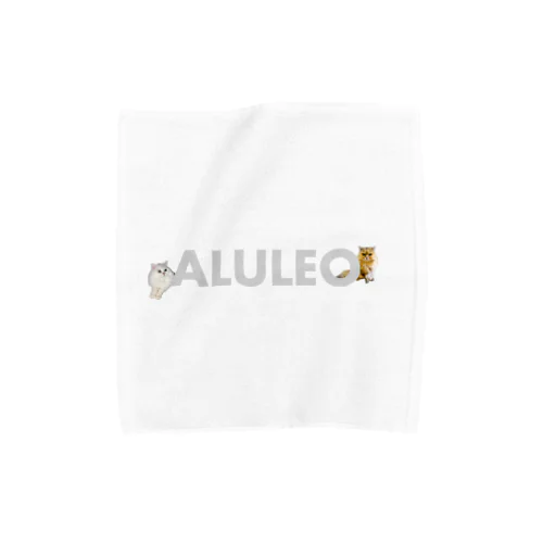 ALULEO Towel Handkerchief