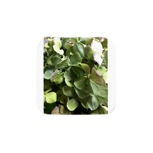 🌿 autumn hydrangea 🌿 タオルハンカチ