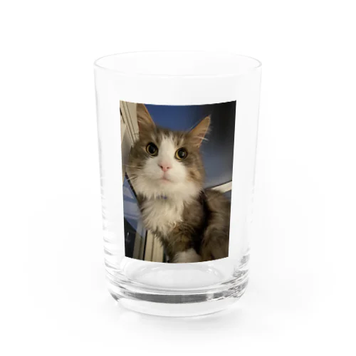 ノルウェー Water Glass