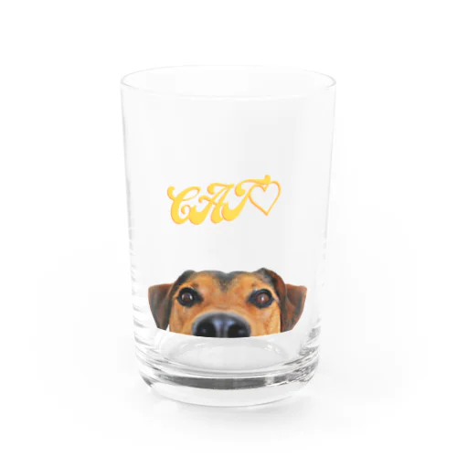 猫なのに犬 Water Glass