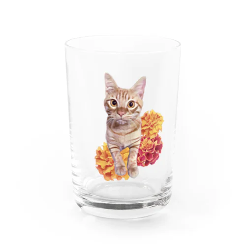 茶トラ猫とマリーゴールド グラス