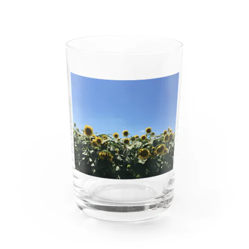 夏空【ひまわり】 Water Glass
