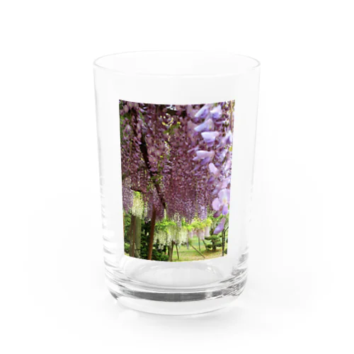 藤の花 Water Glass