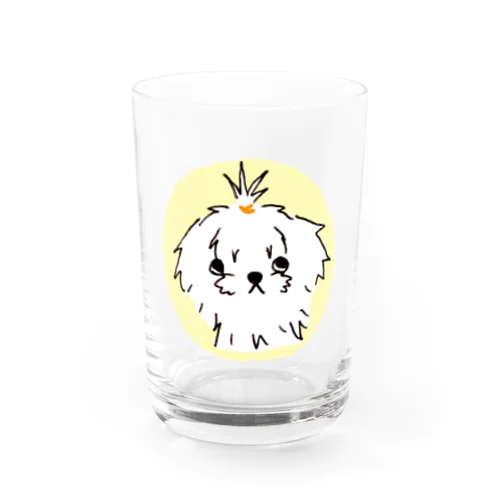 マルチーズ子犬の上目遣い Water Glass