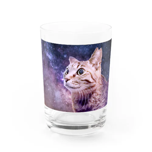 宇宙猫 - KAGICHAN Water Glass