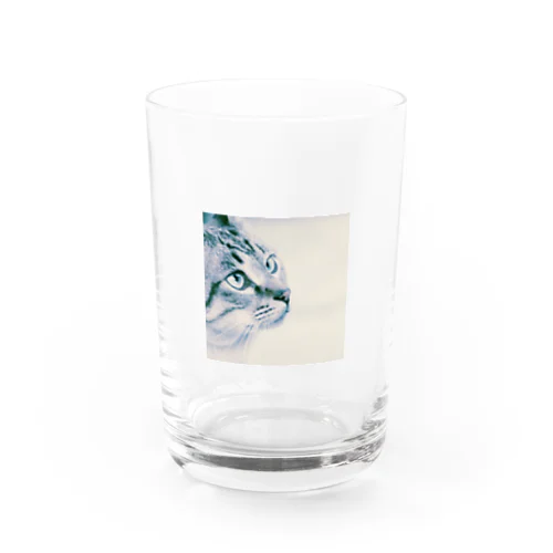 猫部2 Water Glass