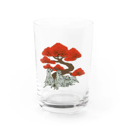 ミーアキャット × 和（紅） Water Glass