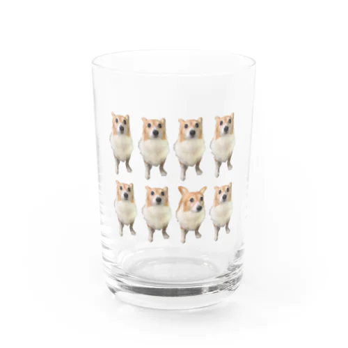 mochamocha Water Glass