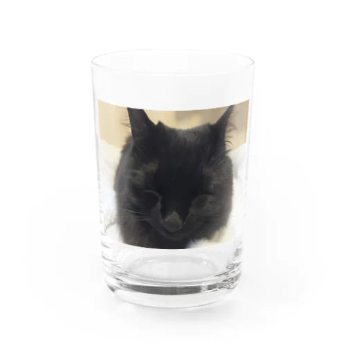 みみちゃん Water Glass