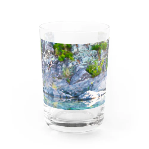 イワツバメ Water Glass