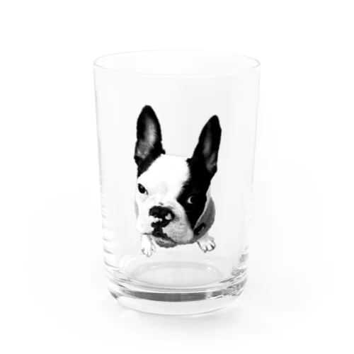 DOG-3 Water Glass