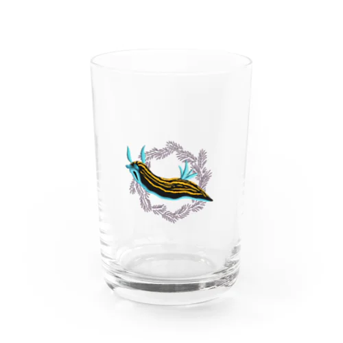 ウミウシのリュウグウウミウシ Water Glass