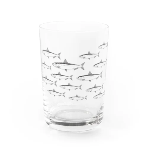 マイワシの群れ Water Glass