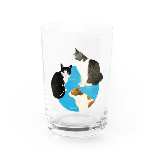 3猫tamao mochico konatsu Water Glass