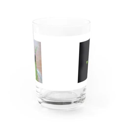 ホタル　 Water Glass