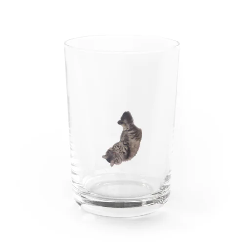 フォーリング・エビフライ・キャット(実写の猫) Water Glass