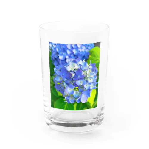 アジサイ Water Glass