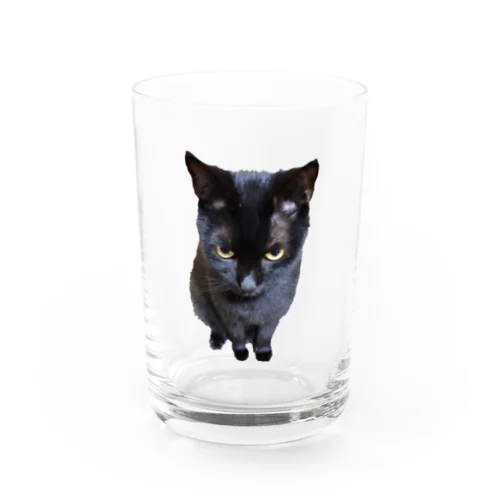 黒猫2 Water Glass