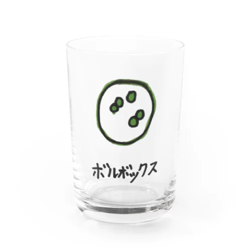 ボルボックス Water Glass