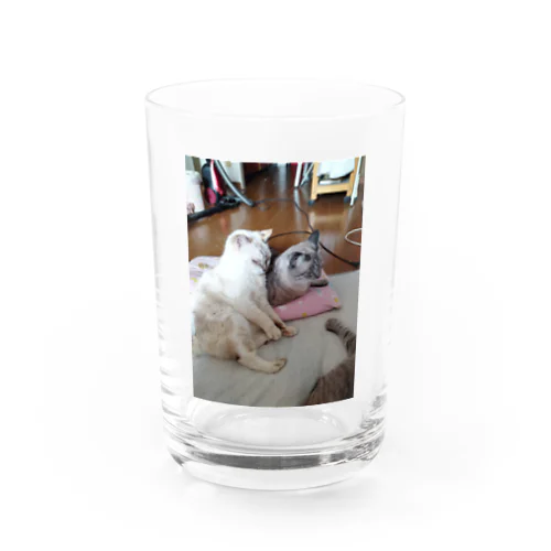 お座りポテチちゃん達の談笑 Water Glass