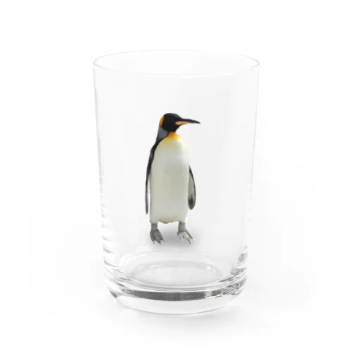 キングペンギン Water Glass