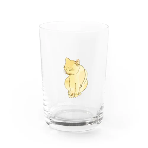 のんびり目を閉じている猫 Water Glass