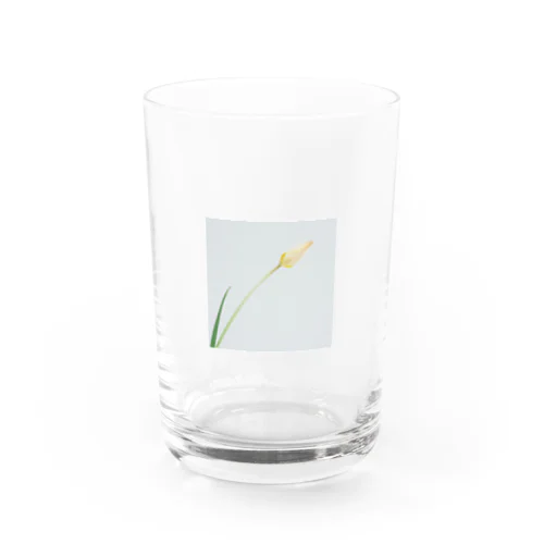 flower_001 Water Glass