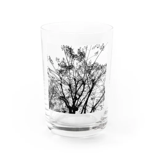 春を待つ(モノクロ) Water Glass
