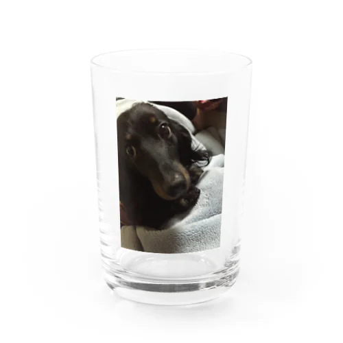 チョコ Water Glass