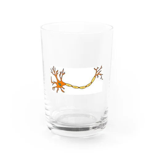 神経細胞 Water Glass