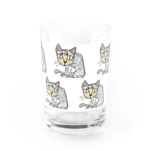 「tea timeゾ」 Water Glass