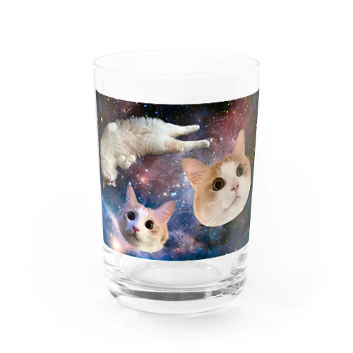 宇宙を旅する風太 Water Glass