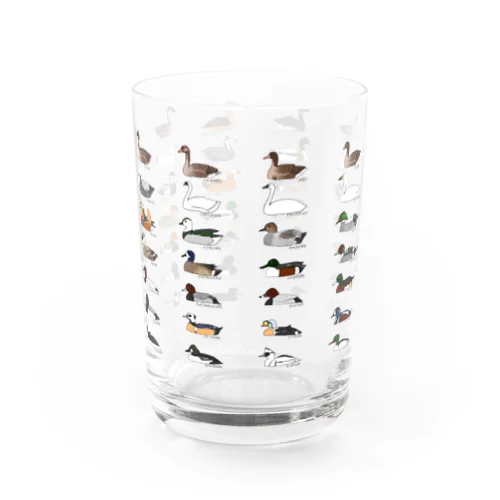 日本産カモ類全種 Water Glass