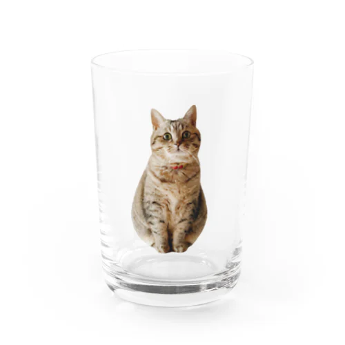 まんまるまるぴ Water Glass