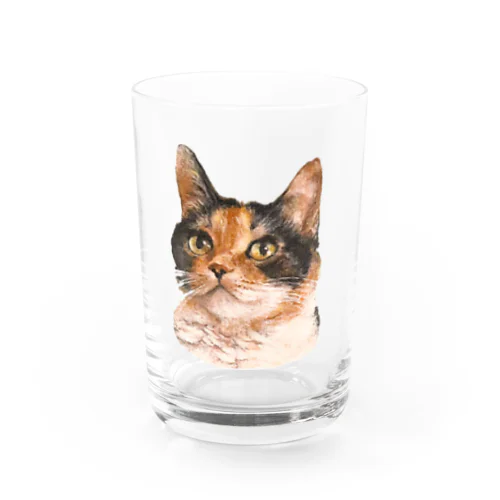 Calico べにの常夏アイランド Water Glass