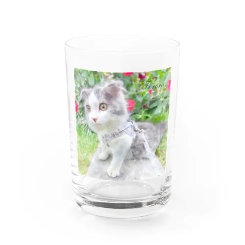 scottishfold_tororo Water Glass