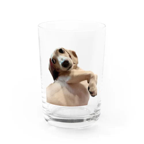 きなこ Water Glass