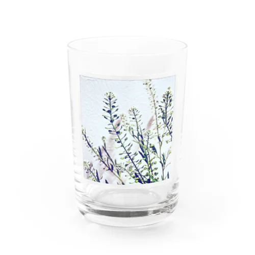 揺れる花 Water Glass