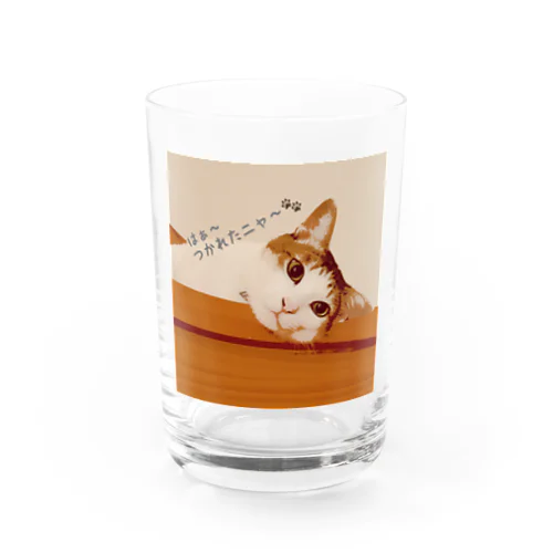 お疲れ猫ちゃん Water Glass