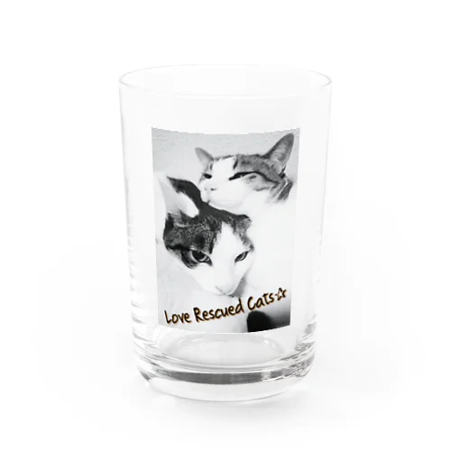Love Rescued Cats Water Glass