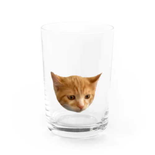 茶トラのゆず Water Glass