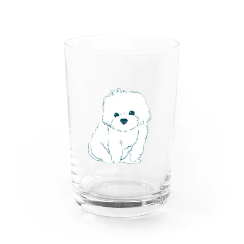 マルチーズもふもふ Water Glass