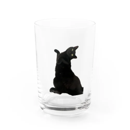 仰向けの猫 グラス