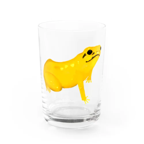 モウドクフキヤガエル Water Glass