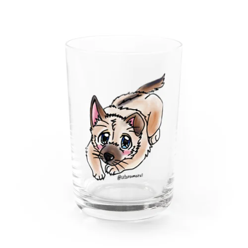 泥棒フェイスの子犬 Water Glass